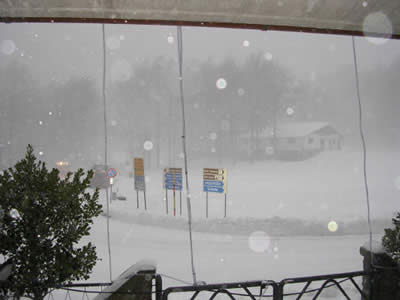 Sotto la nevicata